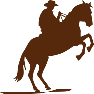 CONNECTION WITH HORSES