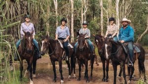 horse ridding lessons