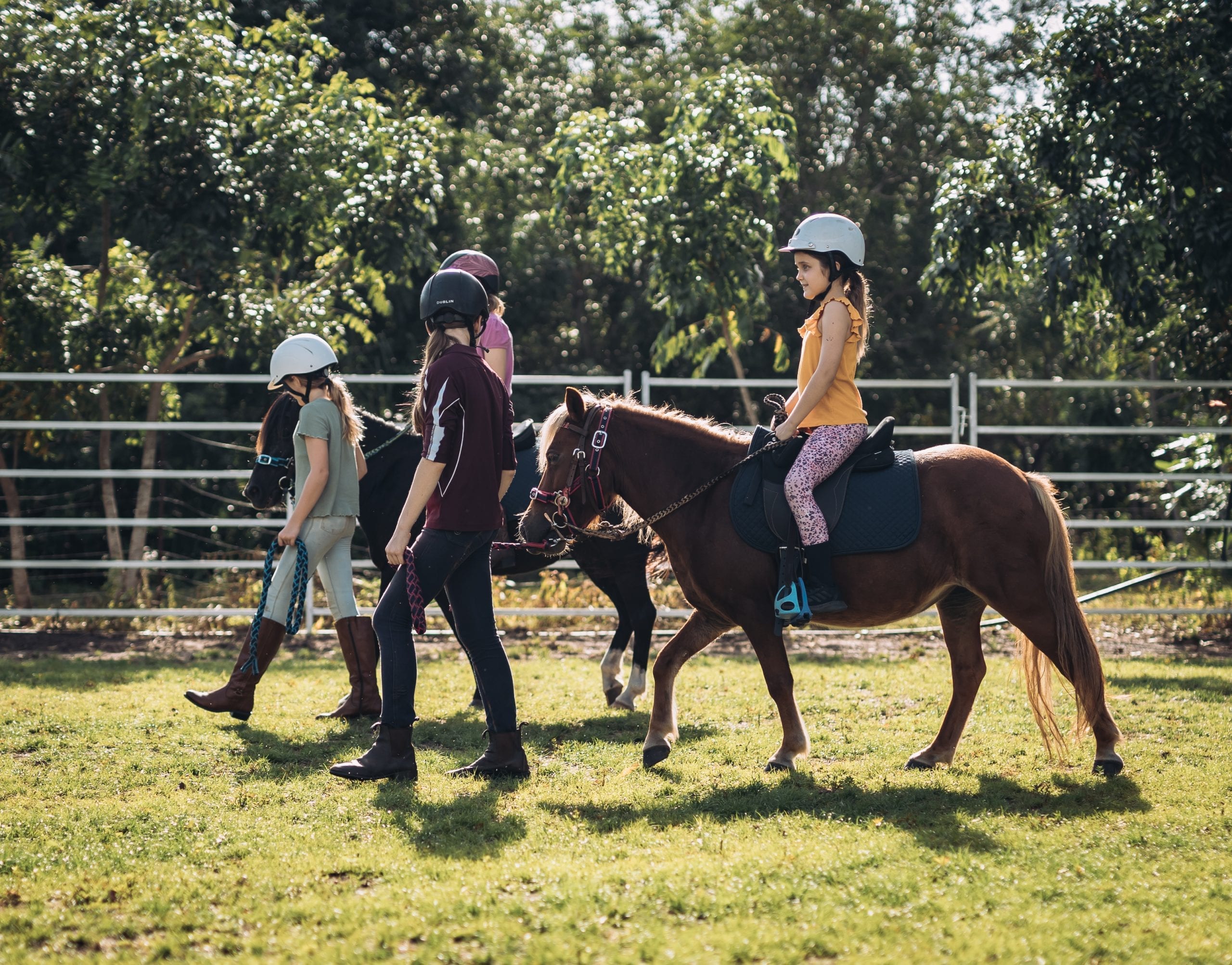 horse ridding lessons for kids